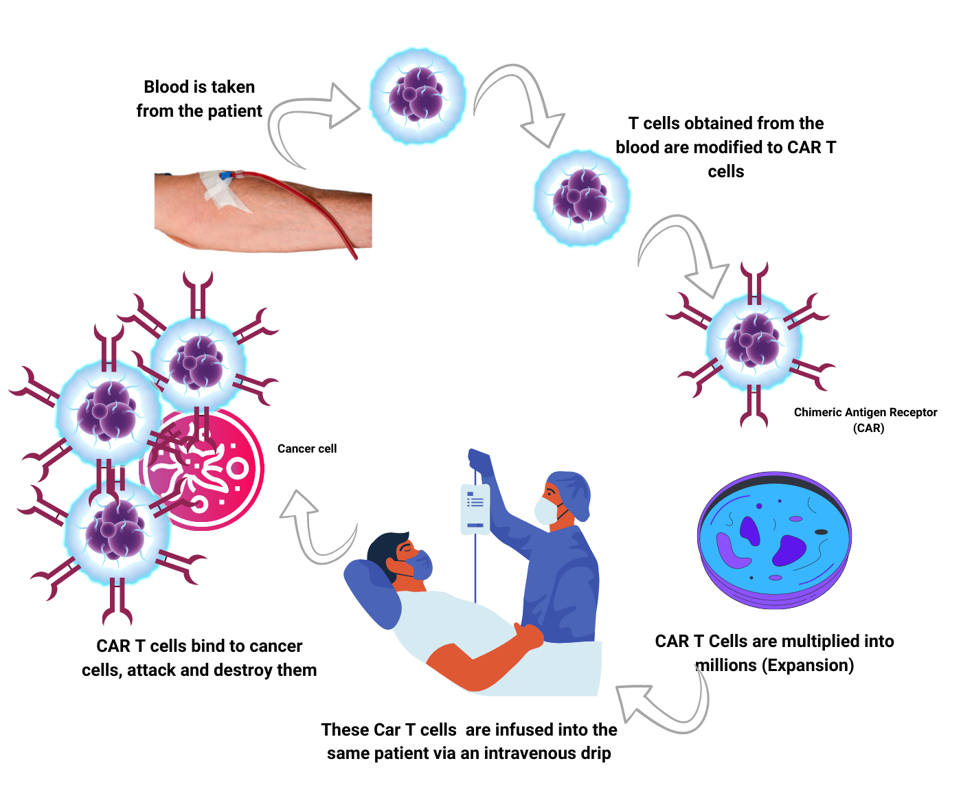 What is Denvax Dendritic Cell Immunotherapy